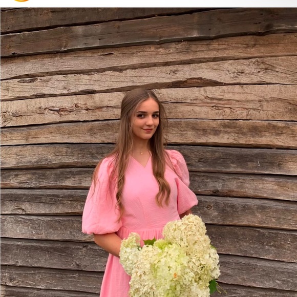 Elegant Gauze Pink Midi Dress - Picture 6 of 7